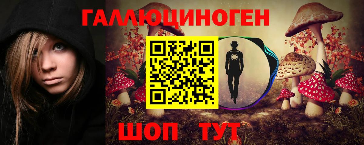 Тулун  Псилоцибиновые грибы Psilocybe  купить  цена  Вход с VPN  Псилоцибиновые грибы Cubensis 